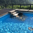 도그마실 이미지