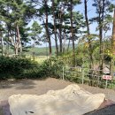 무창포솔원캠핑장 이미지