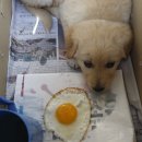 업동이네 이미지