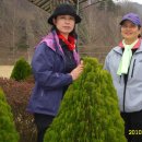 천의초교 이미지