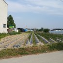 광공인중개사사무소 이미지