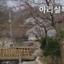 아리실 네이버블로그