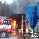 양계장닭한마리 이미지