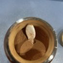 이엔바이오 이미지