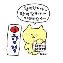 경동식품 네이버블로그