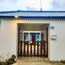 퐁낭거리 이미지