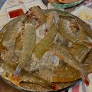 도심어부 이미지