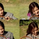 태민농장 이미지