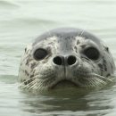 금강1호기 이미지