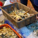 아도수산 이미지