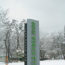 망우공원 (대구)겨울 풍경 이미지