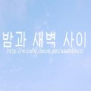 아이쮸크림 이미지