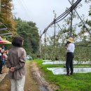 돌다리 농장 이미지