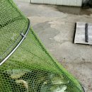 상곡낚시터 이미지