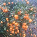 빈이네농장 이미지