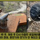 야생양봉원 이미지