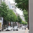가로수길 - 김해시 칠산로335번길 2 | 가로수길