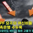 부동산 PF 요주의 여신비율 50% 넘는 저축은행 은행 수두룩 부동산 PF 대출의 3분의 2가 부실 직전까지 내몰린 상황.. 지옥 바닥 이미지