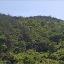 미천면-10 네이버블로그