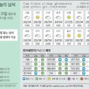 31 이미지