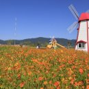 예당습지생태공원 이미지