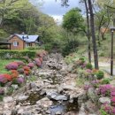 용인자연휴양림3 이미지