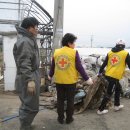 안막2구 이미지