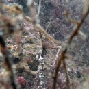 남해-277 이미지