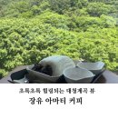 아마티 | 초록초록 대청계곡 보면서 먹는 실타래빙수 맛집 아마티 커피