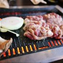 참나무오리