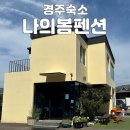 봄펜션 | 경주 풀빌라 나의봄펜션 후기