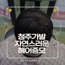 청주가발 자연스러운 헤어증모 김호증모 발롱헤어 후기!