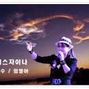 미스차이나 Daum카페