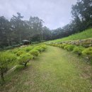 주형목장 | 관리가 잘 되는 수목장,자연장은 어떤 기준으로 고를까