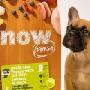 퍼피라이프 이미지