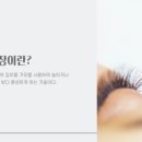 한국미용디자인협회 이미지