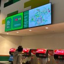 정글팩토리 | 춘천 레고랜드 진짜 솔직 후기 | 9개월 아기와 60대 부모님과 함께 방문 후기