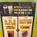 부여목장 | 컴포즈커피 신메뉴 부여밤생초콜릿라떼 vs 부여밤라떼 솔직 비교후기! 밤맛 제대로 느껴진 건?