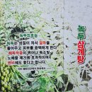 벌집녹두삼계탕 이미지