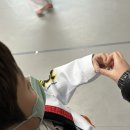 다빛 태권도장 이미지