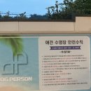 여수 도그펄슨 애견수영장펜션 | [ 애견동반 ] 여수 도그펄슨 애견펜션