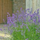 상하고향목장 이미지