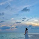 노벨덴탈 | 몰디브 입국 필요 서류 / 코로나 보험 / 인천공항 주차 꿀팁(노벨파킹센터) / 에미레이트항공 이용 후기