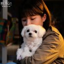 설탕하우스