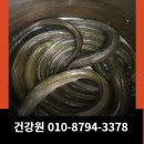 강릉건강원