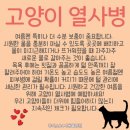 주안동물병원 이미지