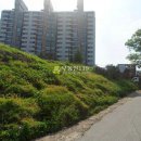 경춘로1842번길 이미지