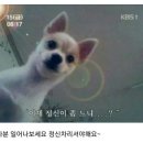 현실 Daum카페