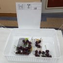 덕화농장 이미지