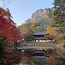 한화행정사사무소 이미지